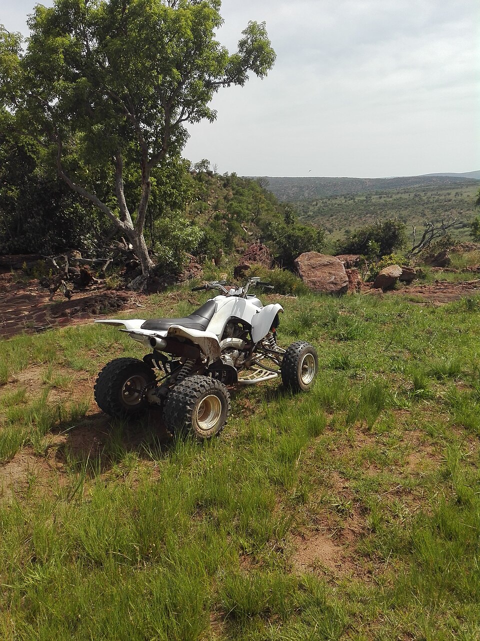 Quad